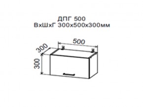 Шкаф верхний ДПГ500 горизонтальный в Новоуральске - novouralsk.магазин96.com | фото