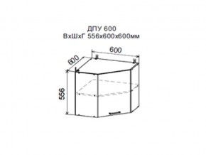 Шкаф верхний ДПУ600 угловой в Новоуральске - novouralsk.магазин96.com | фото