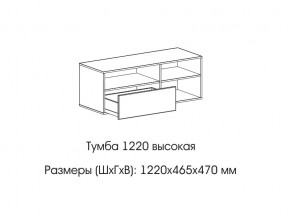 Тумба 1220 (высокая) в Новоуральске - novouralsk.магазин96.com | фото